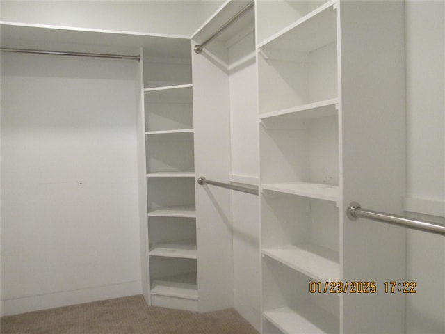 spacious closet featuring carpet