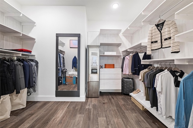 spacious closet with wood finished floors