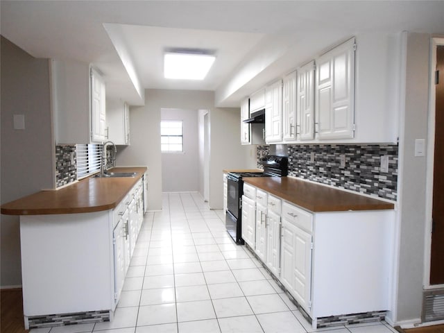 kitchen with dark countertops, black electric range, a sink, and under cabinet range hood