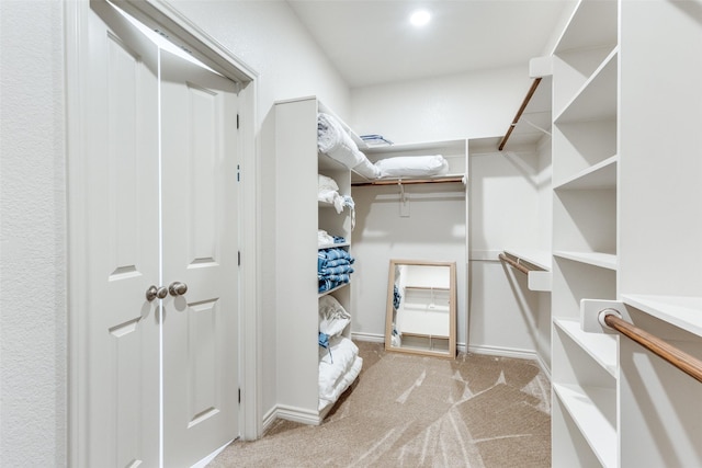 spacious closet featuring carpet