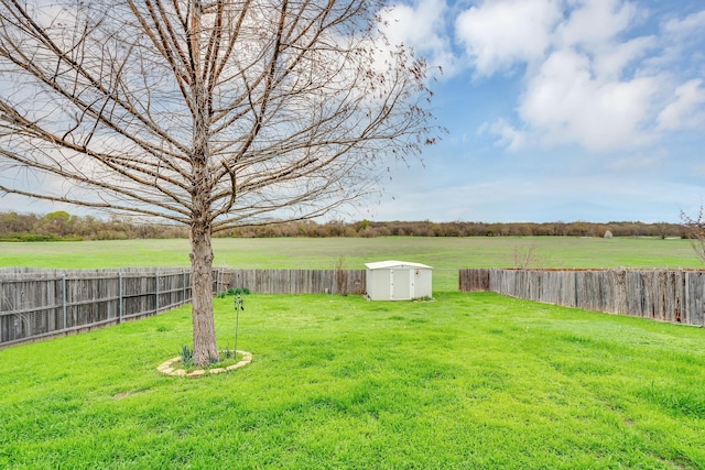 view of yard featuring a fenced backyard, a storage unit, and an outdoor structure