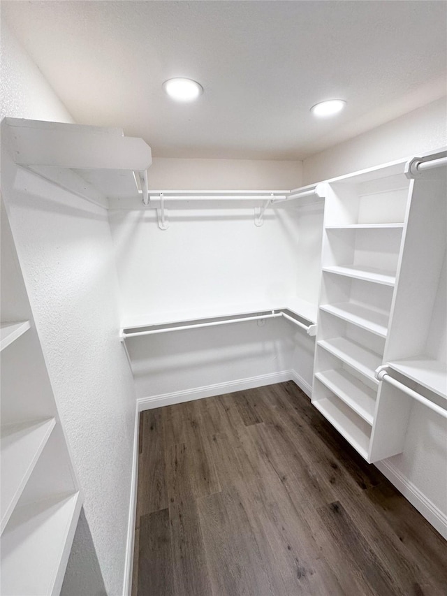 spacious closet featuring dark wood-style floors