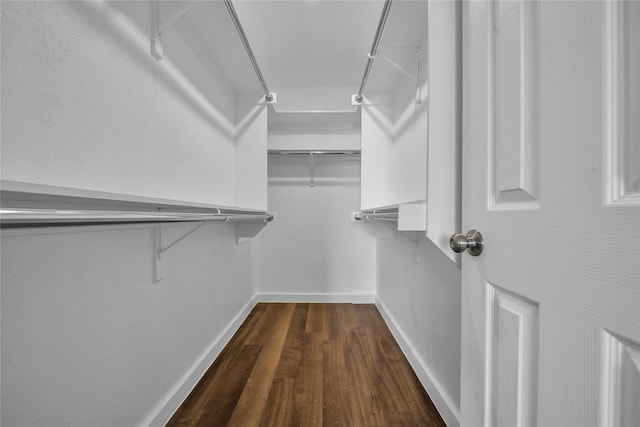 spacious closet with dark wood-type flooring