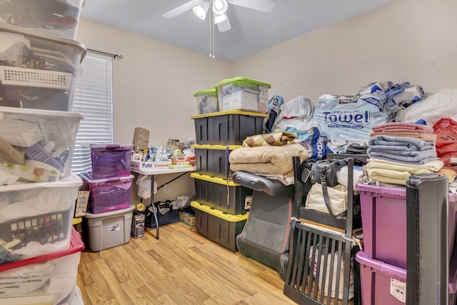 storage featuring ceiling fan