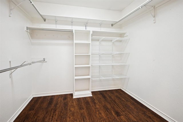 walk in closet with wood finished floors