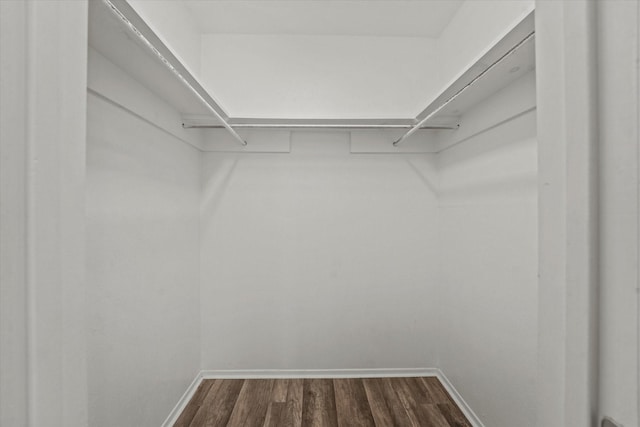 spacious closet with dark wood-type flooring