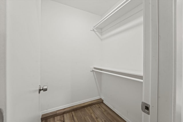 walk in closet featuring wood finished floors