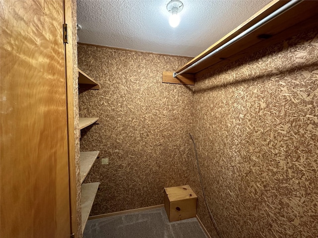 spacious closet with carpet