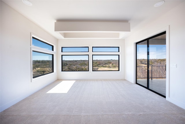 carpeted empty room with baseboards