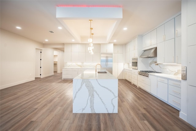 kitchen featuring decorative backsplash, appliances with stainless steel finishes, wood finished floors, a kitchen island with sink, and ventilation hood