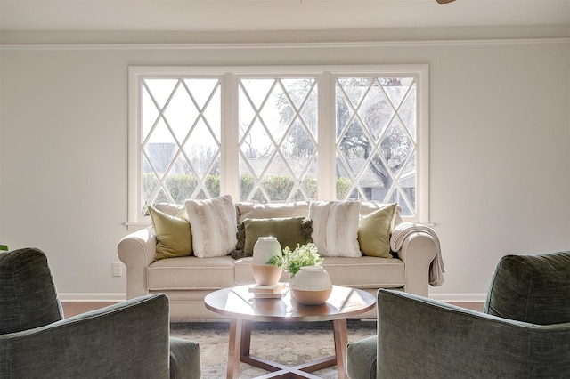 living room with ornamental molding, a wealth of natural light, and baseboards