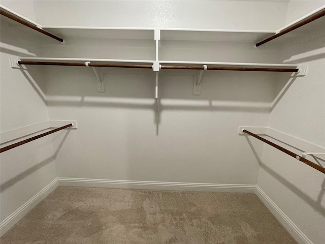 walk in closet with carpet