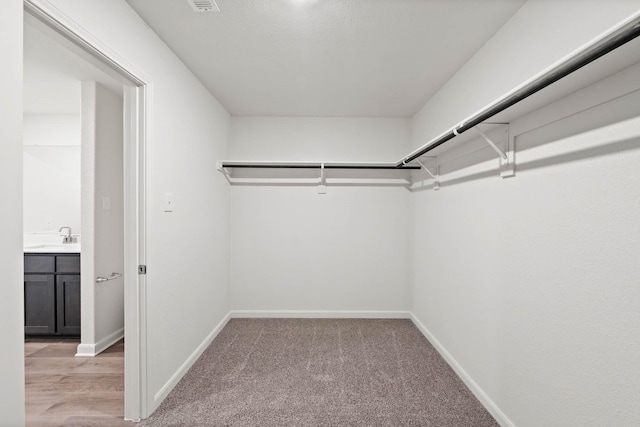 walk in closet featuring a sink and light colored carpet