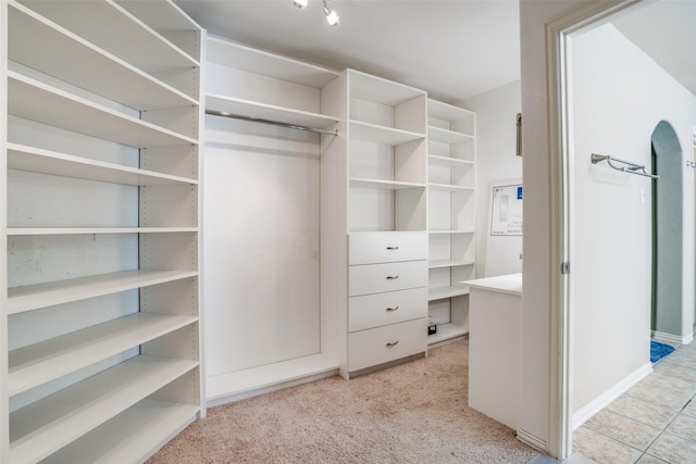 1730 Azalea Dr, Savannah, TX 76227 - spacious closet with light carpet