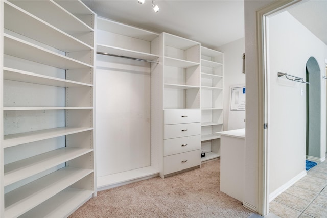 walk in closet with light carpet