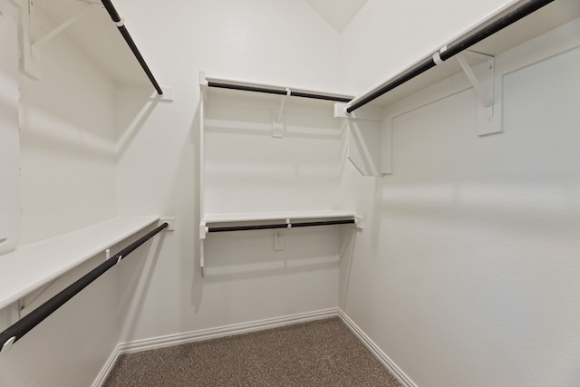 spacious closet with dark colored carpet