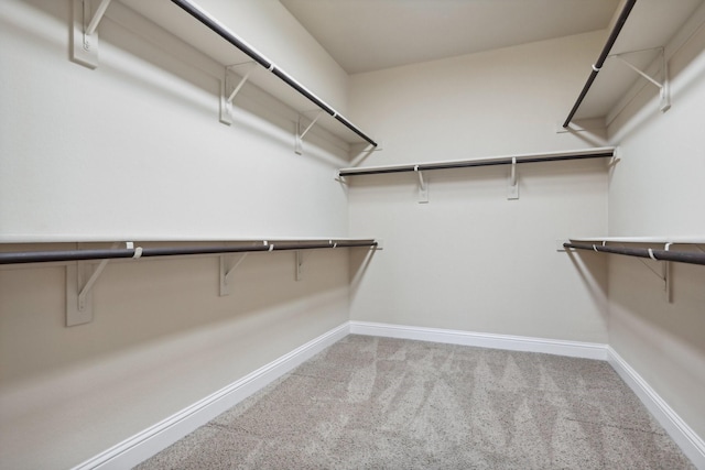 walk in closet with carpet floors