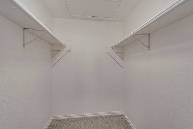 walk in closet featuring carpet