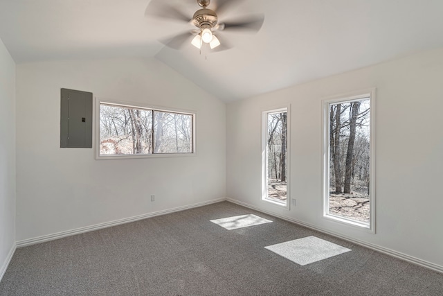 unfurnished room with a wealth of natural light, electric panel, vaulted ceiling, and carpet flooring