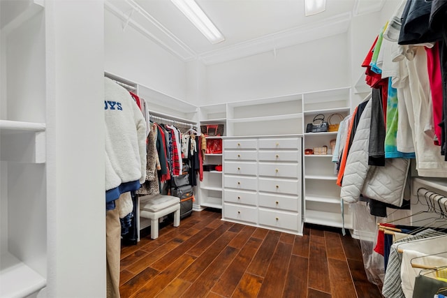 walk in closet with wood finished floors