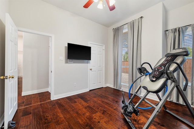 workout room with baseboards, plenty of natural light, ceiling fan, and hardwood / wood-style flooring