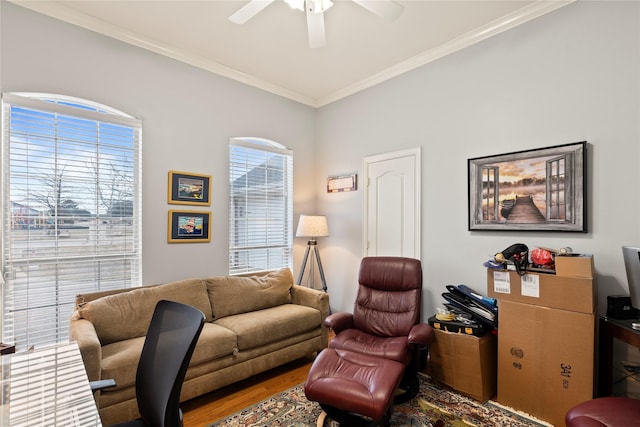 office space with ornamental molding, a ceiling fan, and wood finished floors