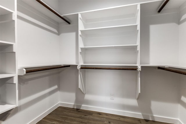 walk in closet featuring dark wood-style floors