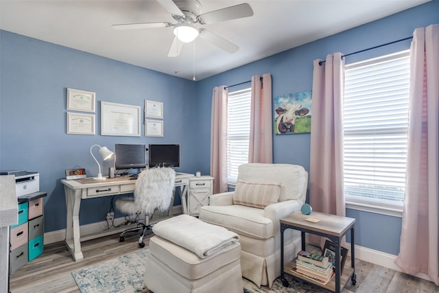 office featuring plenty of natural light, light wood-type flooring, and baseboards