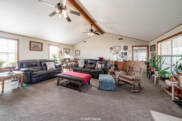 354 County Road 157, Coleman, TX 76834