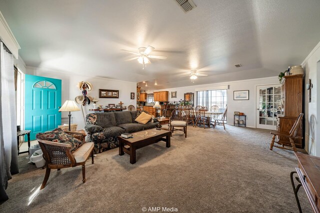 354 County Road 157, Coleman, TX 76834