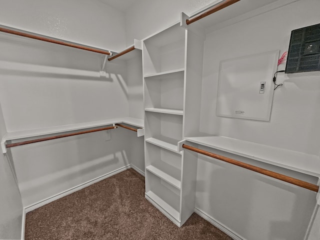 spacious closet featuring dark colored carpet