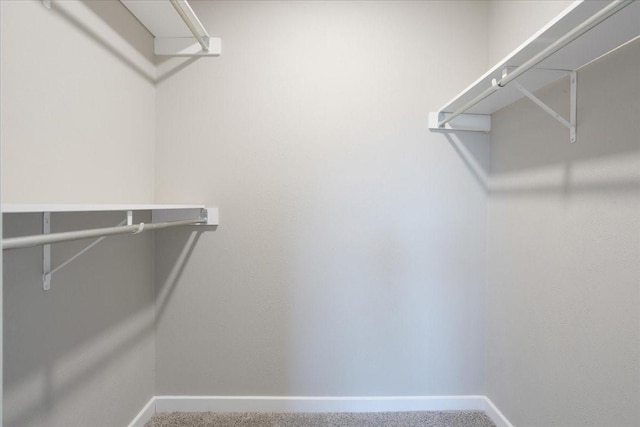 walk in closet with carpet flooring