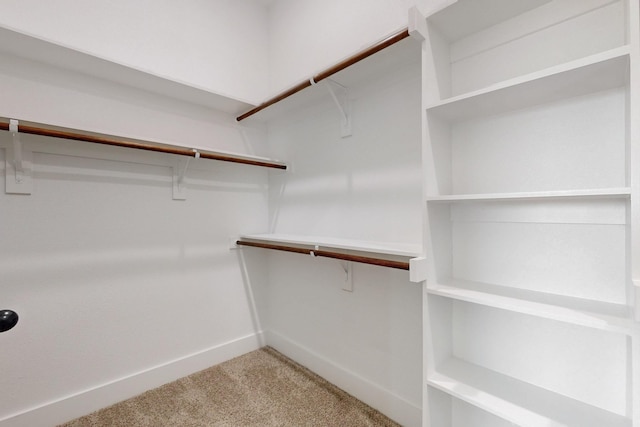 spacious closet with light carpet