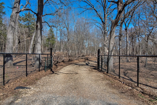 view of road featuring a gated entry