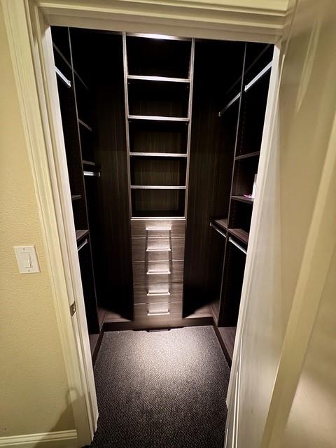 walk in closet featuring carpet floors