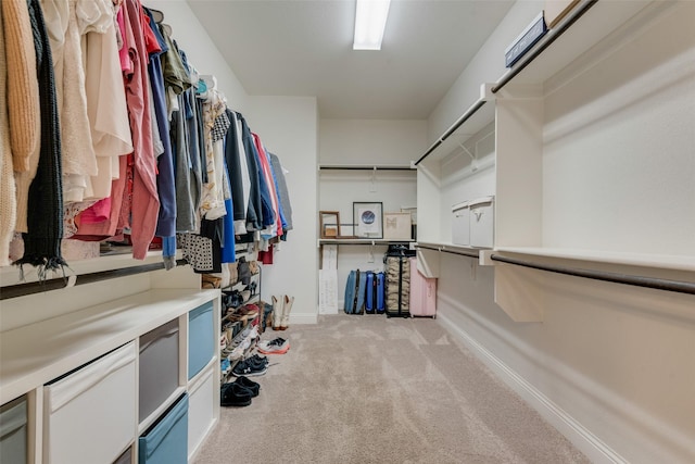 walk in closet featuring carpet