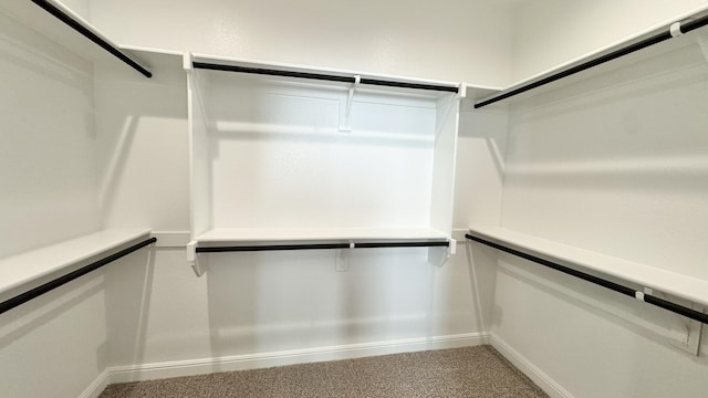 walk in closet featuring light colored carpet