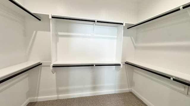 1908 Brindle St, Northlake, TX 76247 - spare room with carpet flooring and baseboards