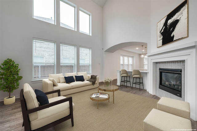 2009 Dappled Grey Ave, Aubrey, TX 76227 - living area featuring arched walkways, wood finished floors, and a high ceiling