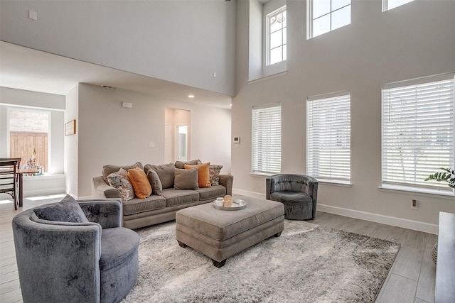 living room featuring a high ceiling, baseboards, and wood finished floors