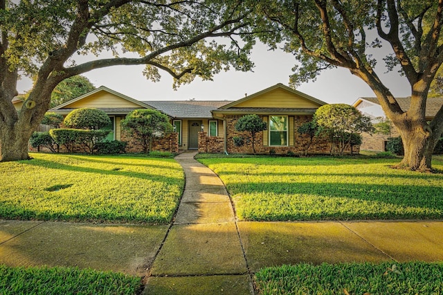 ranch-style home featuring brick siding and a front yard