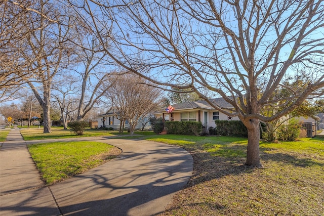 view of front of home with curved driveway, a front yard, and a residential view