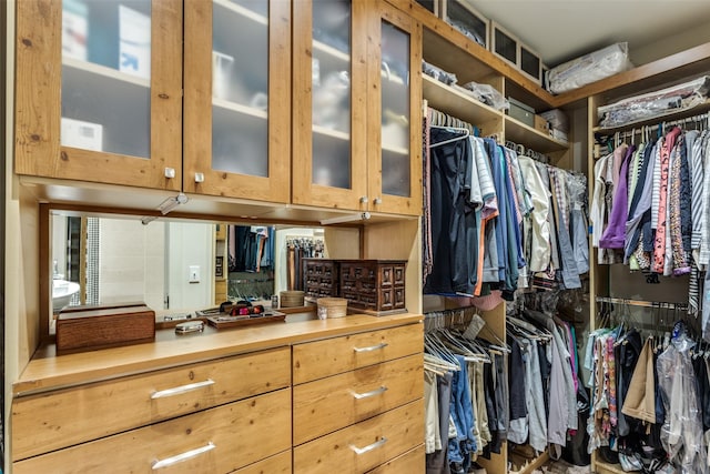 view of spacious closet