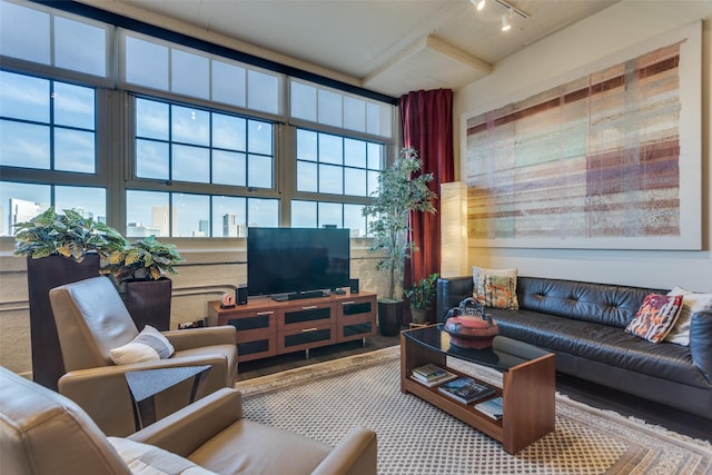 living room featuring track lighting and a healthy amount of sunlight