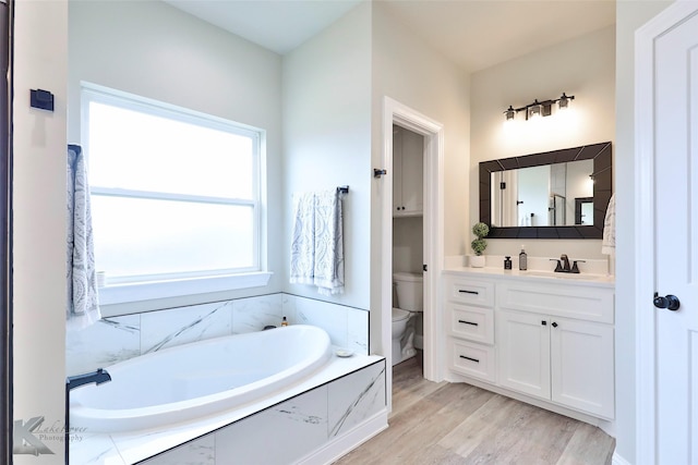 bathroom featuring wood finished floors, vanity, toilet, and a bath