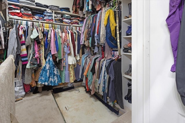 view of spacious closet