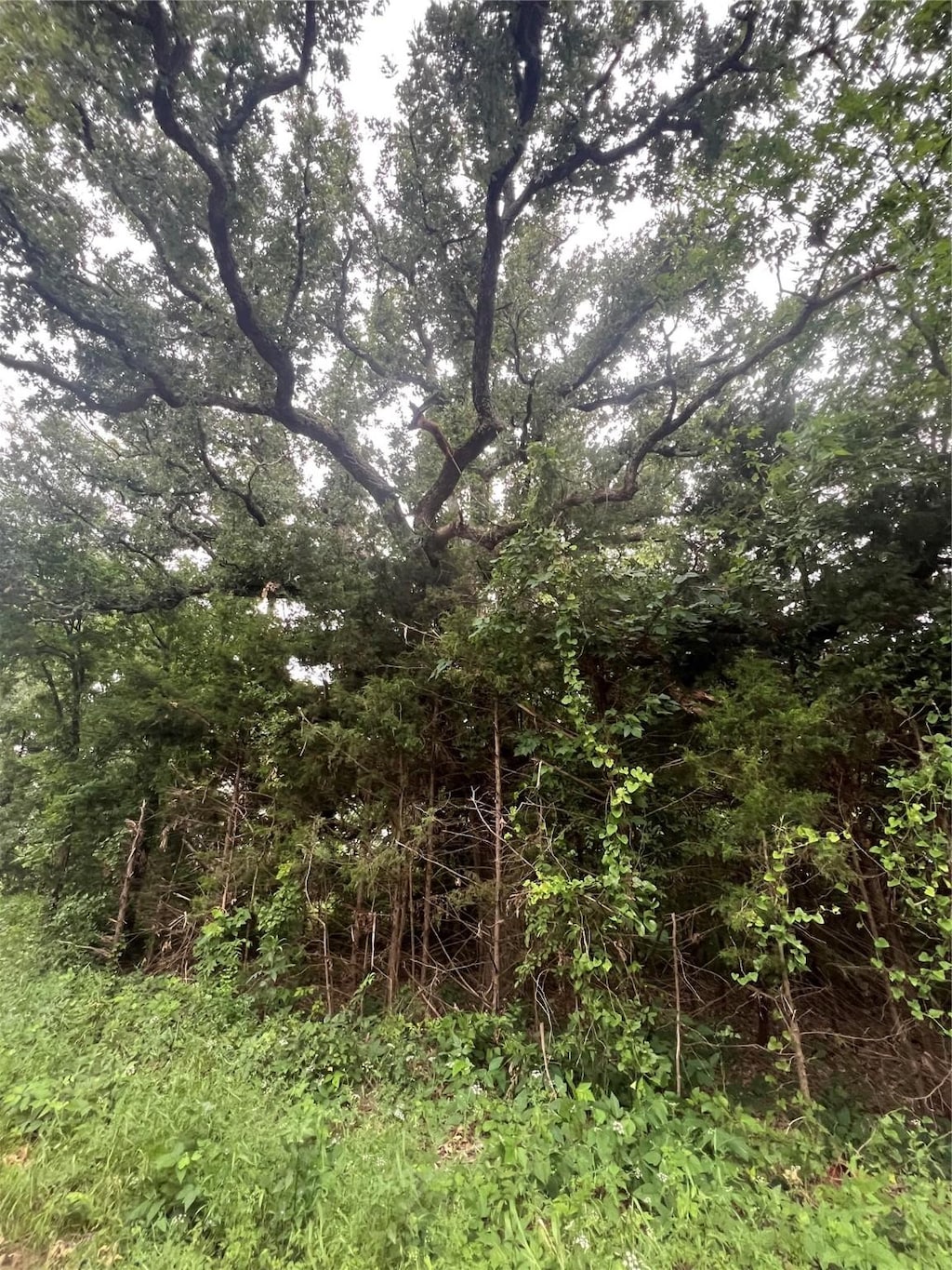 TRACT6 County Rd 14720, Paris, TX 75417