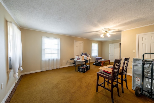 interior space featuring crown molding, ceiling fan, a textured ceiling, and a healthy amount of sunlight