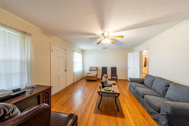 living room featuring ornamental molding, light wood finished floors, and a textured ceiling