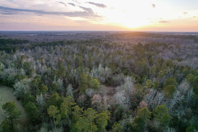 aerial view at dusk with a wooded view